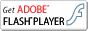 Flash Player�C���X�g�[��