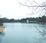 寺ヶ池公園
