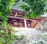 薬師寺
