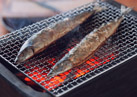 秋刀魚